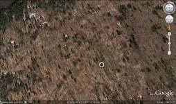 cellar holedowsed.webp