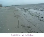 DSCF0751.webp