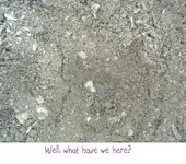 DSCF0750.webp