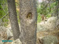 Camping 2011 015.webp