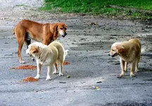 DSC05273.webp