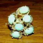 Robins nest.webp