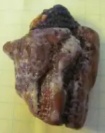 rusty rock.webp