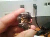 Buddy 010.webp