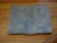 DSCN2644.webp