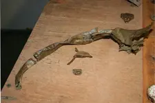Finds 9 11 002 - Copy.webp
