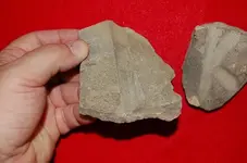 Mandan Artifacts (25).webp