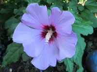 2011 pictures 364.webp