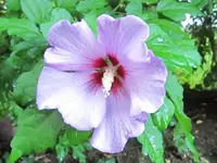 2011 pictures 380.webp