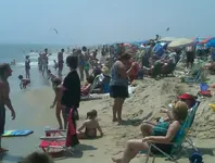 Beach.webp