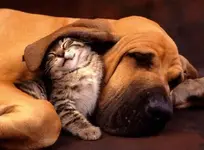 Ahhhh, now I\'m comfortable.webp