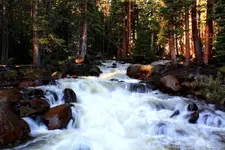7-22a.webp