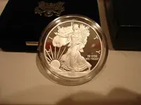 2011AmericanEagleOBVclose.webp
