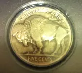 buffalo2.webp