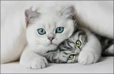 Shhhh.  They\'ll never find us..webp
