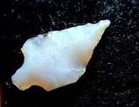 DSCF0048.webp