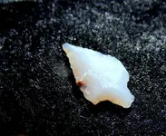 DSCF0027.webp