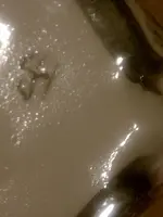 IMAG0129.webp