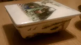 IMAG0130.webp