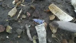 2011-08-01 1.webp