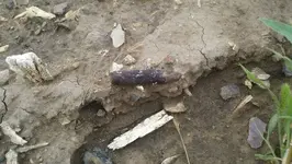2011-08-01 10.webp