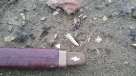 2011-08-01 13.webp
