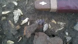 2011-08-01 15.webp