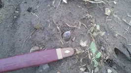 2011-08-01 19.webp