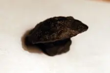 NH FINDS 09-30 017.webp