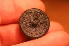 NH FINDS 09-30 019.webp
