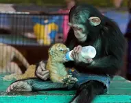 Babies #1.webp