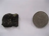 treasure finds sept 2011 007.webp