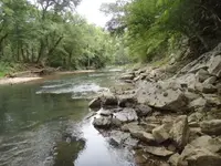 coral river.webp
