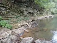 coral river2.webp