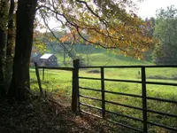023.webp