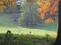 026.webp