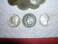 DSCN5223.webp