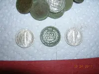DSCN5224.webp