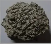 chain_coral.webp
