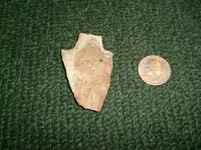 spear point.2.webp