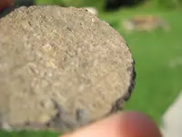 pewter coin 003.webp