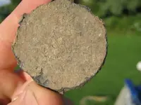 pewter coin 004.webp