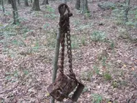 day 4 2nd brown lot vids 005.webp