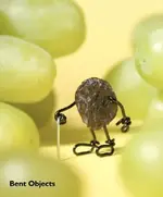 Art #14 Fruit with life experience.webp