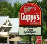 Guppy.webp
