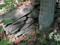 day 4 brown lot vids 006.webp