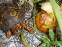 P7240008.webp P7240008.webp