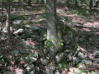 day 4 brown lot vids 009.webp