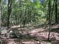 day 4 brown lot vids 010.webp