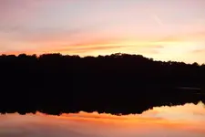 fire water.webp